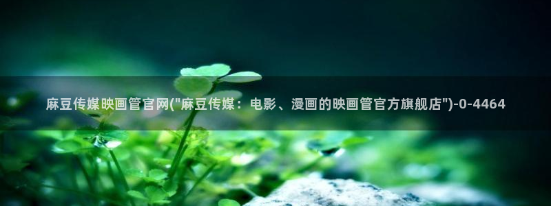 麻豆传媒传播官网：麻豆传媒映画管官网(\