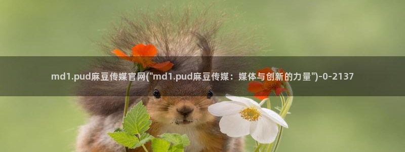 麻豆文化传媒官网男主角：md1.pud麻豆传媒官网(\