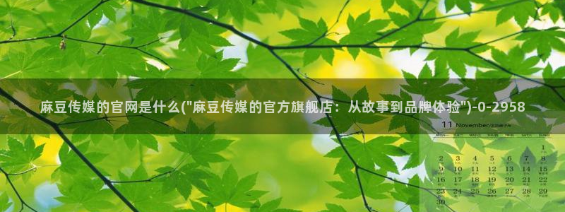 麻豆视传媒官网：麻豆传媒的官网是什么(\