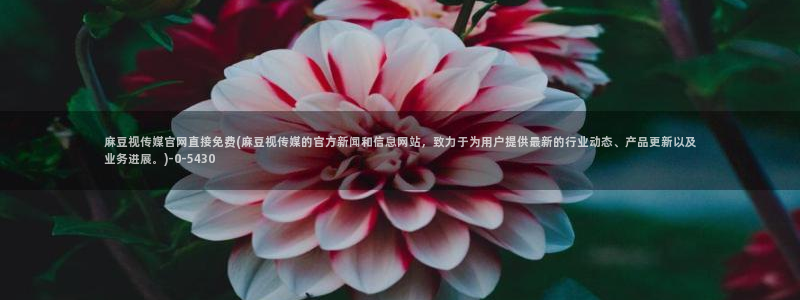 麻豆传媒官网账号：麻豆视传媒官网直接免费(麻豆视传媒的官方新闻和信息网站，致力于为用户提供最新的行业动态、产品更新以及业务进展。)