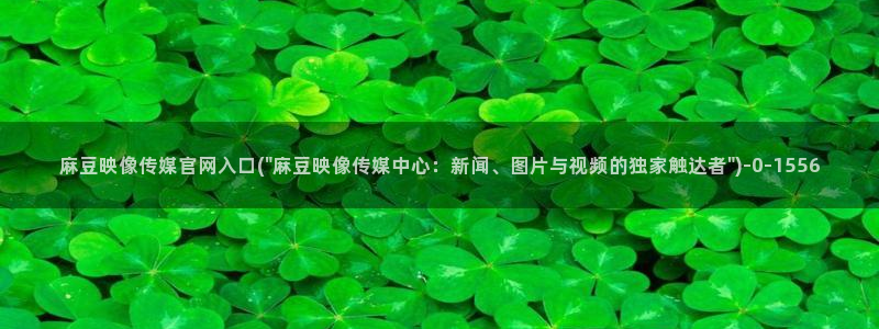 麻豆传媒官网地址破解：麻豆映像传媒官网入口(\