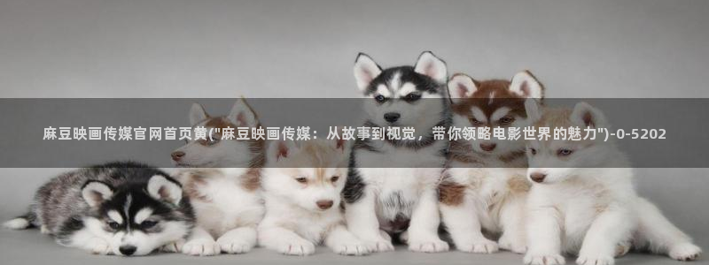 麻豆广播传媒官网：麻豆映画传媒官网首页黄(\