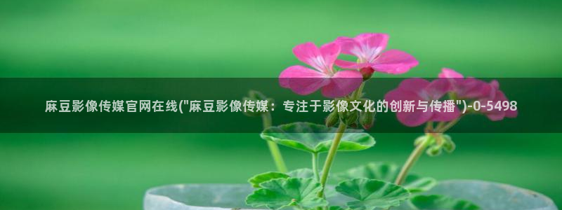 麻豆床传媒官网浸入：麻豆影像传媒官网在线(\