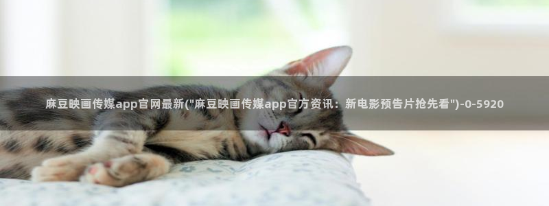 mdpud麻豆传媒官网首页：麻豆映画传媒app官网最新(\