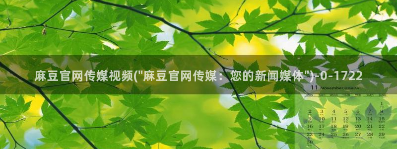 麻豆日记传媒官网：麻豆官网传媒视频(\