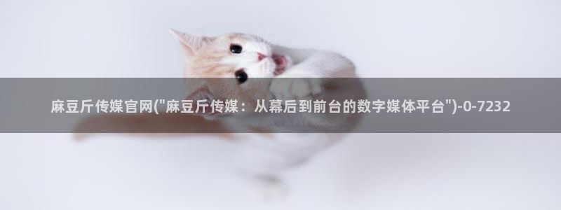 麻豆印像传媒官网：麻豆斤传媒官网(\