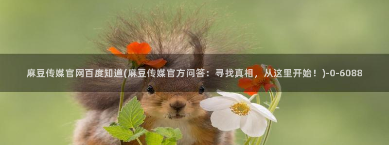 麻豆传媒官网18：麻豆传媒官网百度知道(麻豆传媒官方问答：寻找真相，从这里开始！)