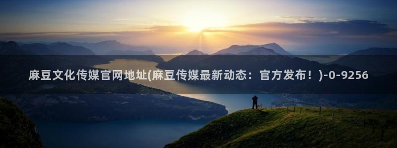 麻豆传媒官网介绍