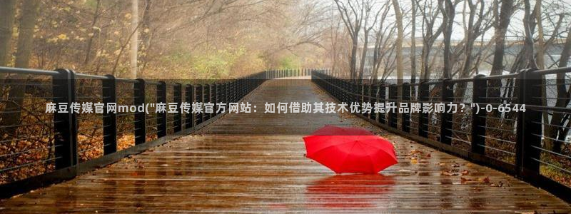 成人麻豆传媒官网