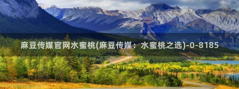 在线 麻豆传媒官网