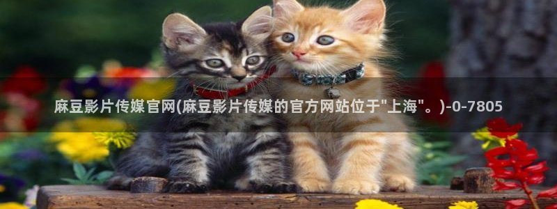 mdapp麻豆传媒官网：麻豆影片传媒官网(麻豆影片传媒的官方网站位于\