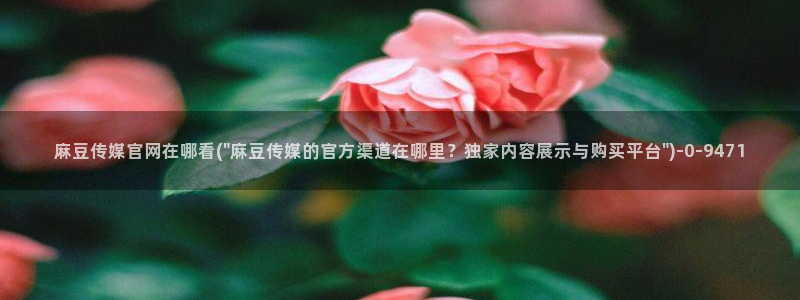 麻豆传媒官网MDSapp下载