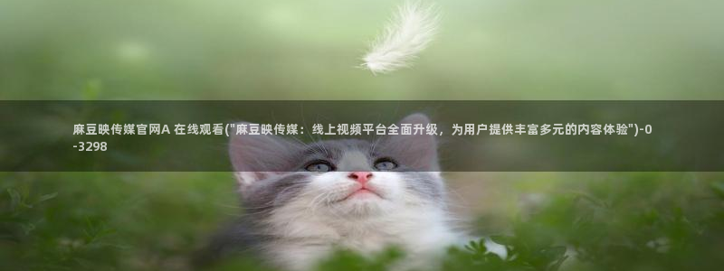麻豆自制传媒 官网：麻豆映传媒官网A 在线观看(\
