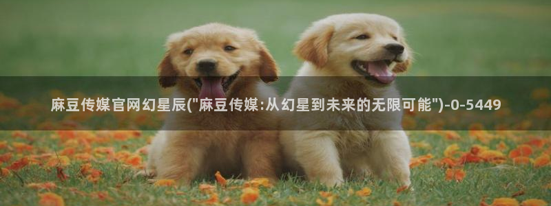 麻豆传媒官网18：麻豆传媒官网幻星辰(\