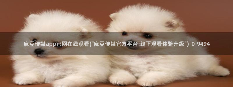 麻豆传媒官网女主播