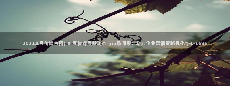麻豆传媒官网app入口