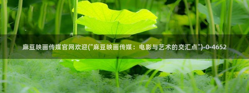 麻豆床传媒官网2021：麻豆映画传媒官网欢迎(\