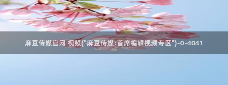 麻豆传媒a官网