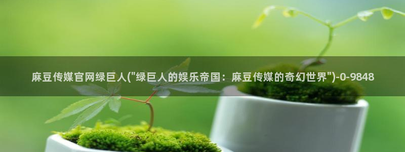 麻豆性传媒官网