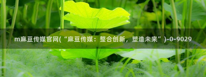 台湾麻豆传媒官网地址