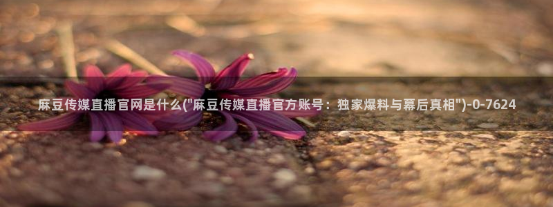 麻豆传媒app官网成人