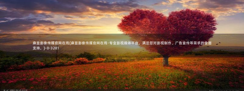 传媒的官网麻豆