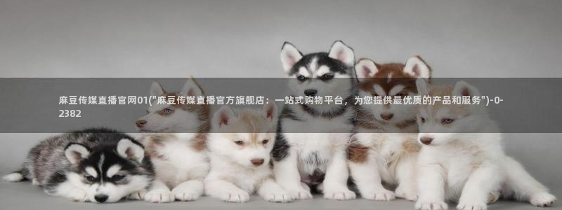 麻豆传媒有官网吗