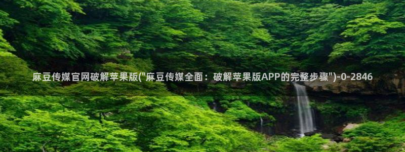 麻豆传媒官网装l：麻豆传媒官网破解苹果版(\